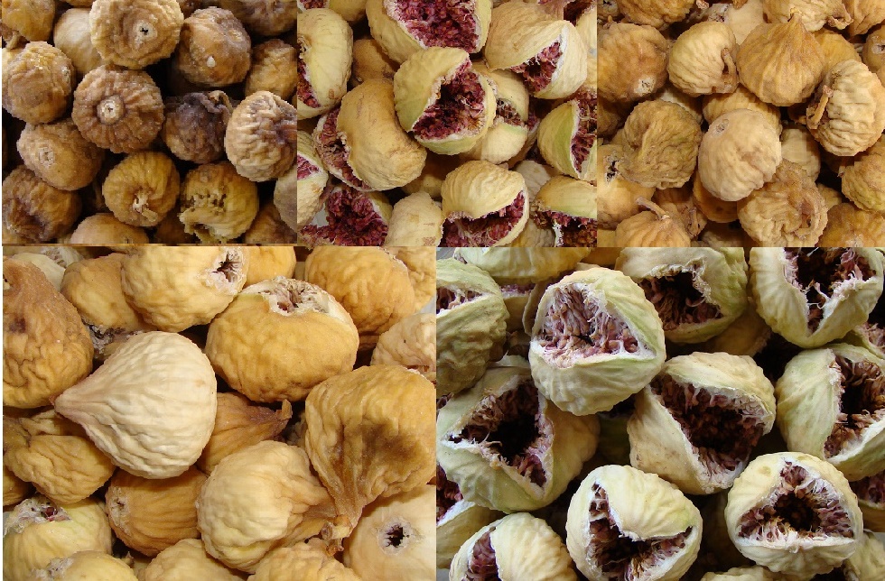 به فروشگاه انجیر طلایی استهبان خوش آمدید