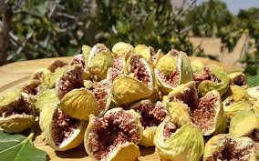 انجیر پرک صادراتی
